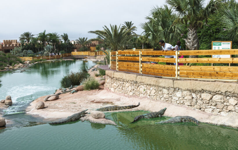 Crocoparc tour from Agadir