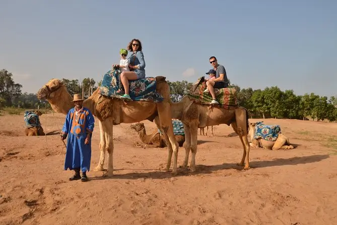 Camel ride tour in Agadir